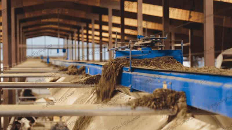 Poultry Feed Conveying System1